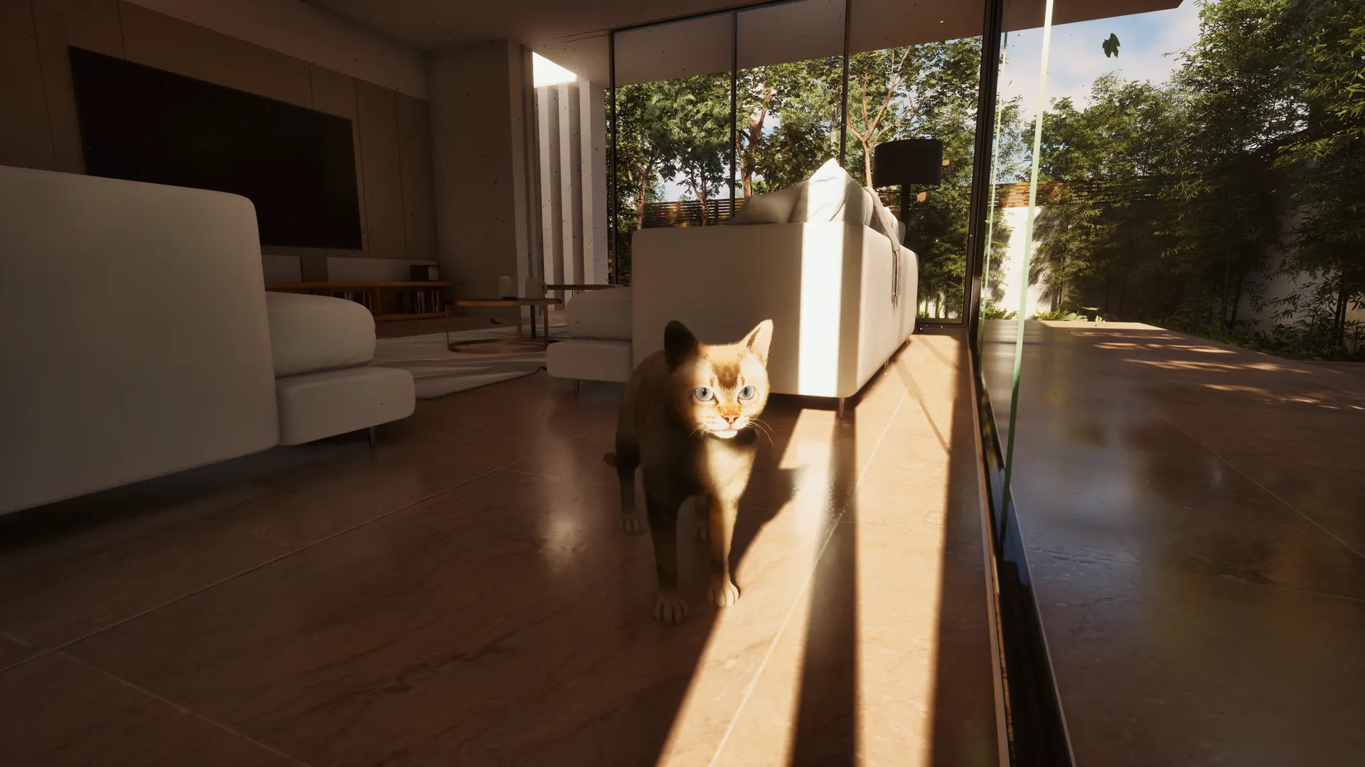 A cat standing in a sunbeam in the living room, the garden behind the glass